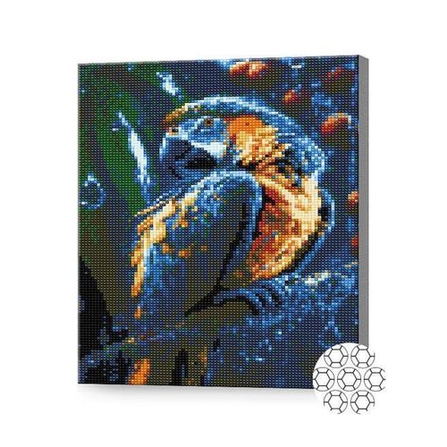 cumpără Tablou pe numere Art Gallery GB86297 Mozaic cu diamante 30x40cm Papagal frumos în Chișinău 