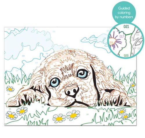 купить Картина по номерам As Kids 1038-41012 Cățeluș в Кишинёве 