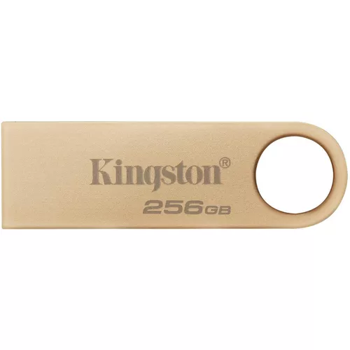 cumpără USB flash memorie Kingston DTSE9G3/256GB în Chișinău 
