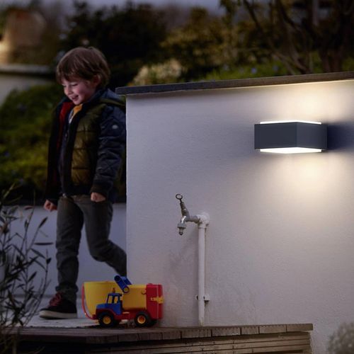 cumpără Aplică exterior Philips 915005361101 HEDGEHOG 42 Вт în Chișinău 