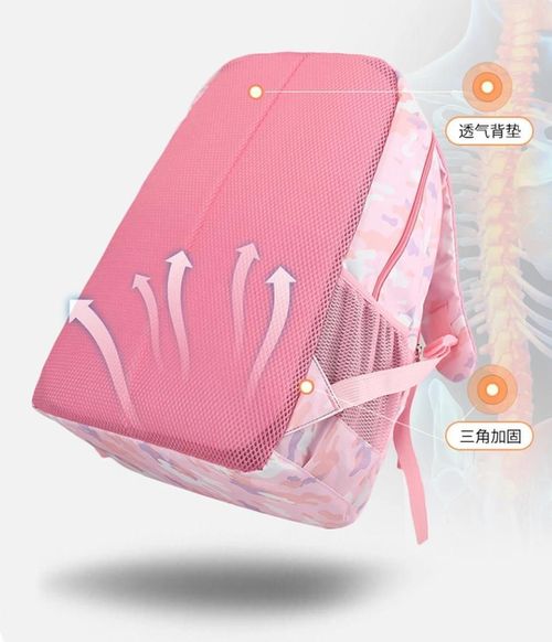 cumpără Rucsac pentru copii 4Play AT156 Pink Camouflage în Chișinău 
