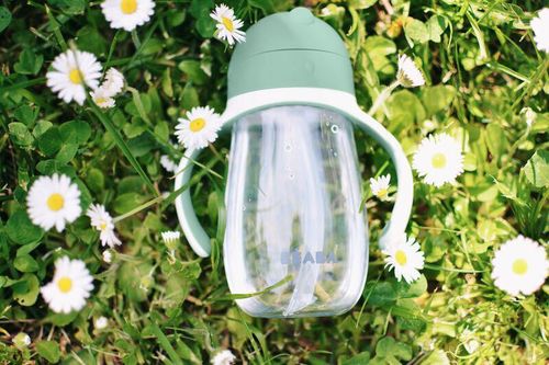cumpără Cană cu pai Beaba B913533 Cana cu pai din Tritan 300 ml Sage Green în Chișinău 