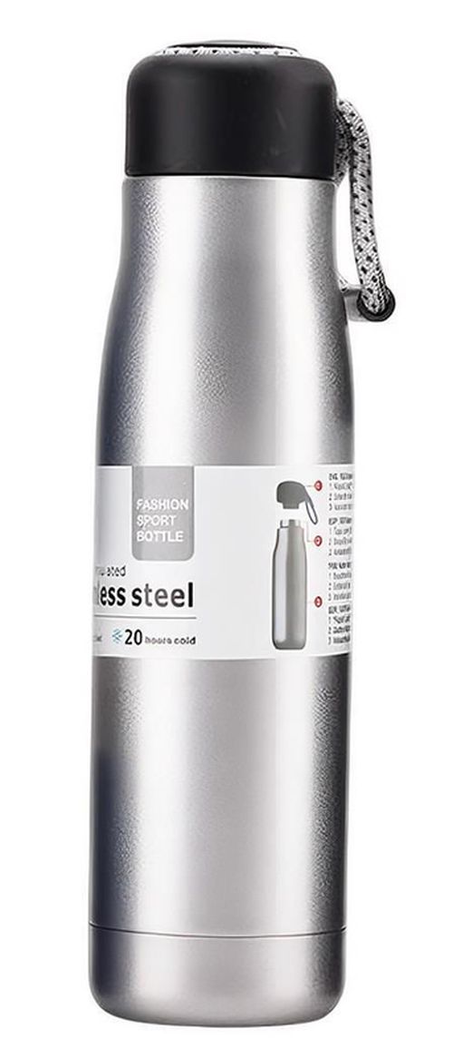 cumpără Termos Daily SJ429-27GR 550ml în Chișinău 