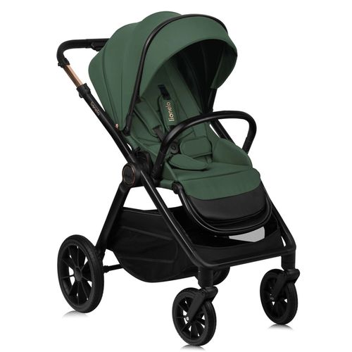 купить Детская коляска Lionelo Carucior 2in1 Layla Green Forest в Кишинёве 