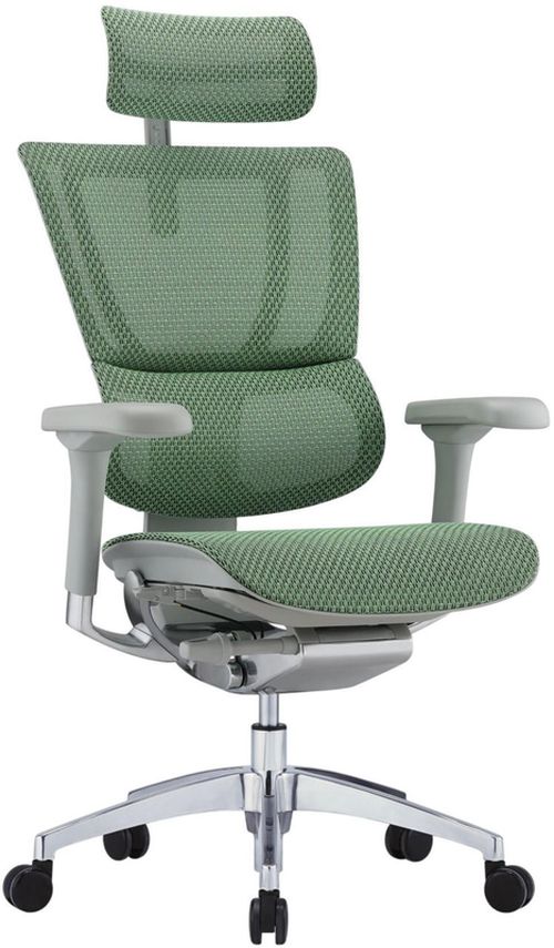 купить Офисное кресло ART Mirus IOO Elite 2 Green T-168-B6 IOOE2-AG-HAM-5D-L в Кишинёве 