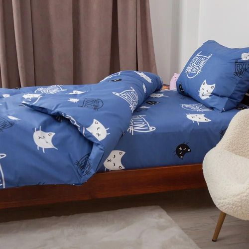 cumpără Textile de casă Relaxe Home Подростковое постельное бельё Soft Dreams 145x210 см Kitten Blue în Chișinău 