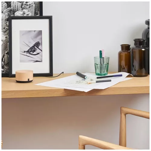 cumpără Boxă portativă Bluetooth Yandex YNDX-00025B Alisa Station Lite Beige Cappucino în Chișinău 