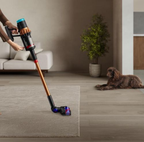 купить Пылесос беспроводной Dyson V16 Piston Animal Bright Coppe (492963) в Кишинёве 