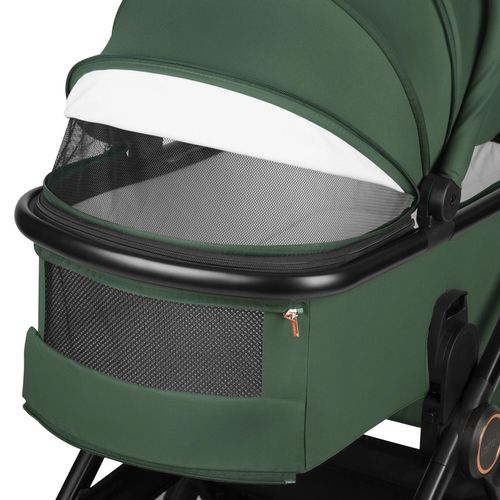 купить Детская коляска Lionelo Carucior 2in1 Layla Green Forest в Кишинёве 