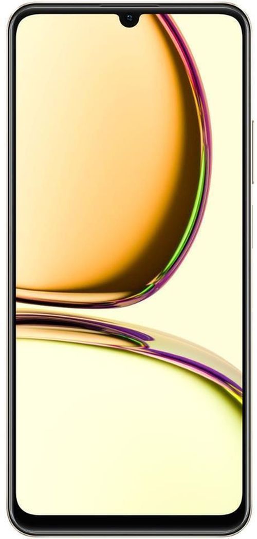 купить Смартфон Realme C53 6/128GB Gold в Кишинёве 