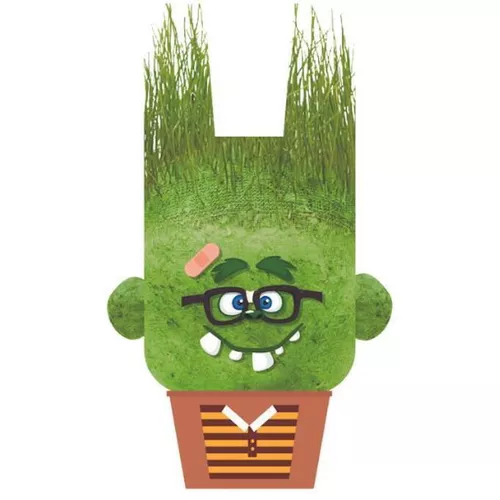 купить Набор для творчества Hape 848102 Experiment științific Charles vesel в Кишинёве 