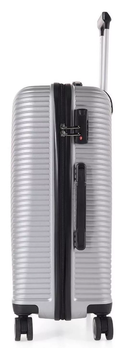 купить Чемодан CCS 5224 M Silver в Кишинёве 