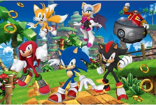 купить Головоломка Trefl 15421 Puzzles 160 Sonic and friends Sega Sonic The Headgehod в Кишинёве 