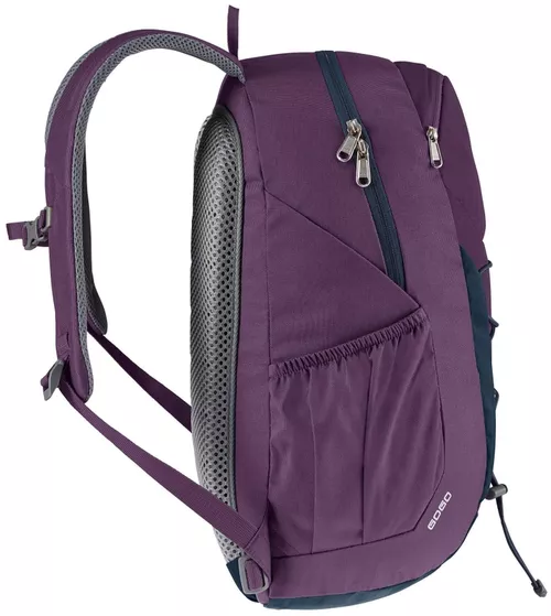 купить Рюкзак городской Deuter GoGo plum-ink в Кишинёве 