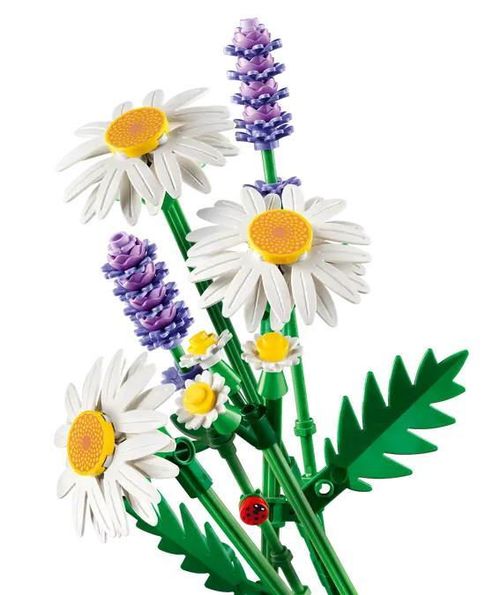 cumpără Set de construcție Lego 11508 Daisies în Chișinău 