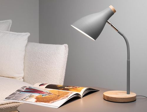 купить Настольная лампа Tracer Scandi Grey Desk lamp в Кишинёве 
