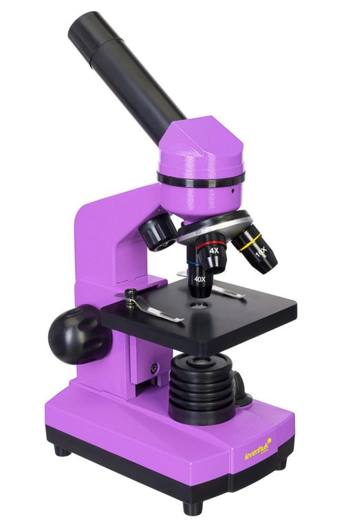 купить Микроскоп Levenhuk Rainbow 2l Amethyst в Кишинёве 