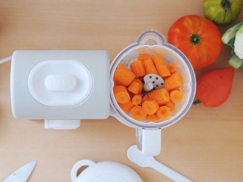 купить Пароварка-блендер Beaba B916300 Babycook Express Velvet Grey в Кишинёве 