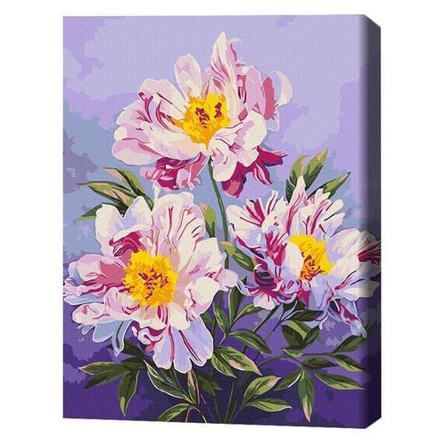 купить Картина по номерам BrushMe BS53920FC 40x50сm (fără cutie) Regatul bujorilor в Кишинёве 