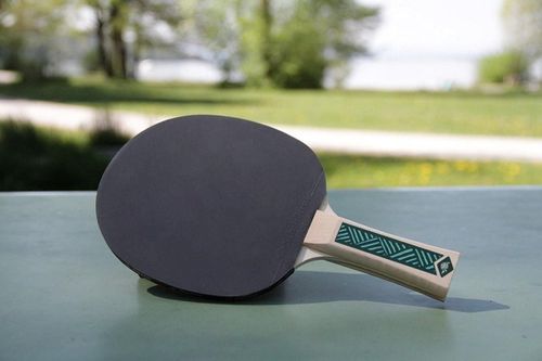 cumpără Articol de tenis Donic 3213 Paleta tenis de masa Champs 400 / 705142 1.5 mm în Chișinău 