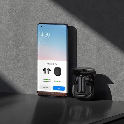 купить Наушники беспроводные Haylou by Xiaomi X1 Pro в Кишинёве 