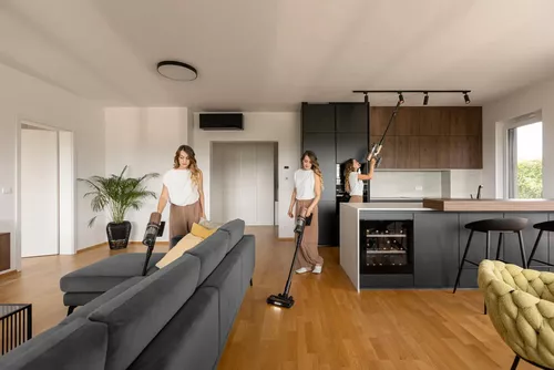 купить Пылесос беспроводной Gorenje SVC259449NDCO в Кишинёве 