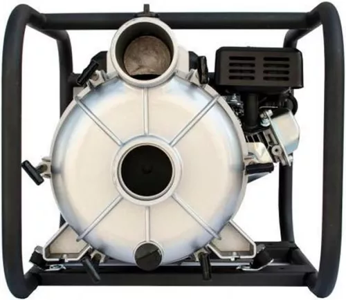 купить Насос Sequoia SPP1100D 1100l/min в Кишинёве 