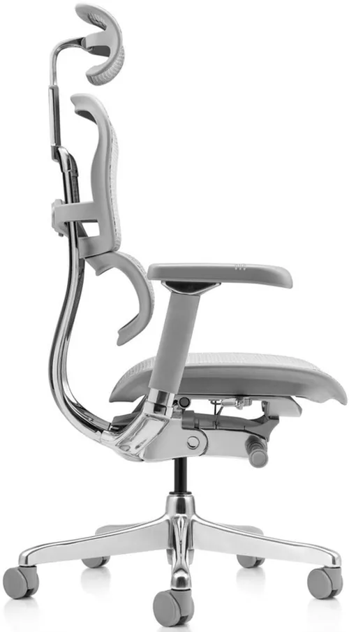 купить Офисное кресло ART Ergohuman Luxury 2 Natural T-168-B2 EHL2-AG-HAM-5D-D в Кишинёве 