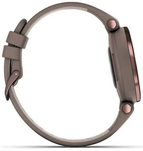 купить Смарт часы Garmin Lily™ Dark Bronze Bezel Paloma Case Italian Leather в Кишинёве 