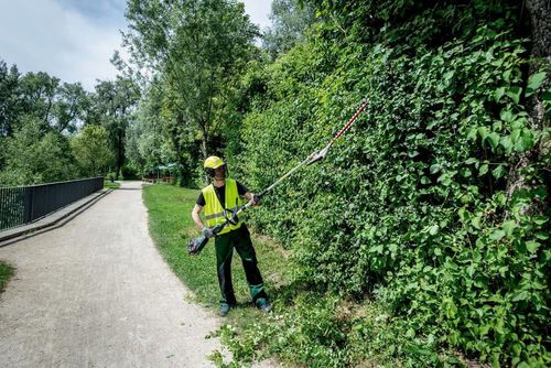 купить Кусторез Metabo 601725850 MA 36-18 LTX BL Q в Кишинёве 