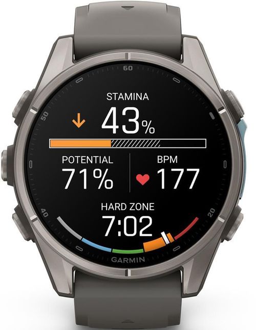 cumpără Ceas inteligent Garmin Fenix 9, 43mm, Bare Ti, Pebble Gray Band (010-04761-11) în Chișinău 