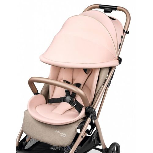 купить Детская коляска Peg Perego IP22000000RO53 Selfie Mon Amour в Кишинёве 
