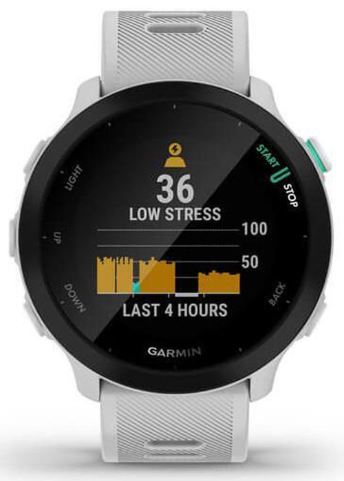 купить Смарт часы Garmin Forerunner® 55 (010-02562-11) в Кишинёве 