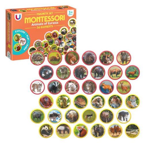 купить Настольная игра Dodo 200285 Joc magnetic Animalele Eurasiei, 36 elem в Кишинёве 