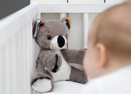 cumpără Jucărie muzicală Zazu COCO baby sleep soother în Chișinău 