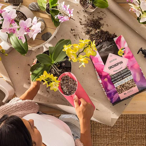 cumpără Substrat pentru plante Lechuza Orchidpon, 6l în Chișinău 