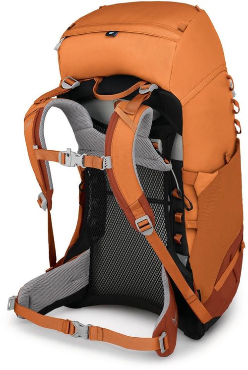 купить Туристический рюкзак Osprey Ace 38 II orange sunset в Кишинёве 