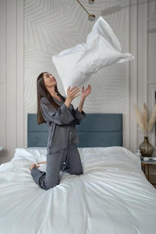 cumpără Textile de casă Askona Подушка Golden Goose în Chișinău 