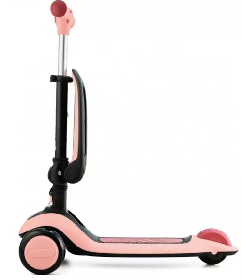 купить Самокат KinderKraft HALLEY KRHALL00PNK0000 ROSE PINK в Кишинёве 