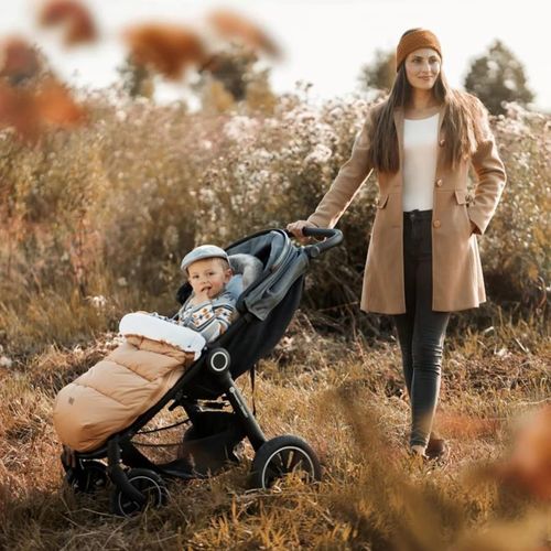 купить Аксессуар для колясок Petite&Mars 534594 Husa de iarna pentru carucior 4 in 1 Comfy Rose Petal в Кишинёве 