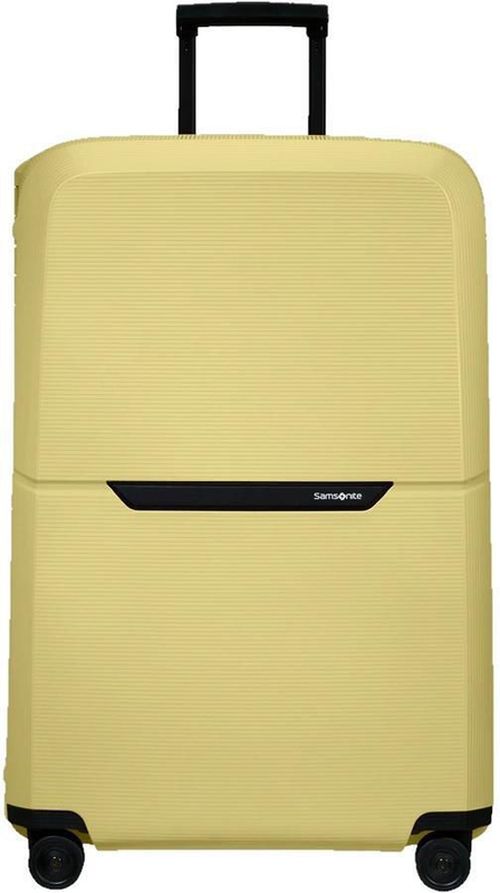 купить Чемодан Samsonite Magnum Eco (139848/1661) в Кишинёве 