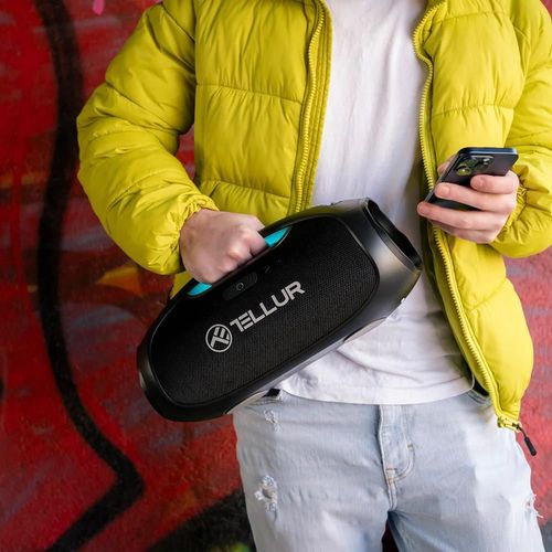 купить Колонка портативная Bluetooth Tellur TLL161241 Obia Pro 60W в Кишинёве 