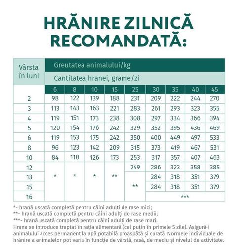 cumpără Hrană pentru animale de companie Optimeal 24231099 Sac caini pui curcan 20 kg în Chișinău 
