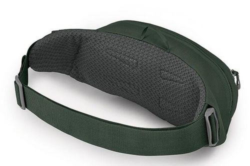 купить Поясная сумка Osprey Daylite Waist green belt/green canopy hip (843820184372) в Кишинёве 