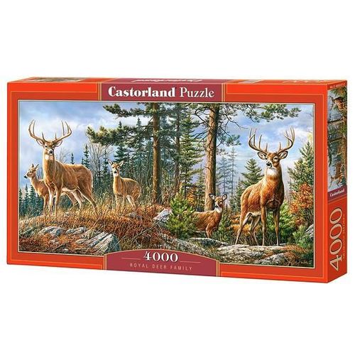 cumpără Puzzle Castorland Puzzle C-400317 4000 elemente în Chișinău 