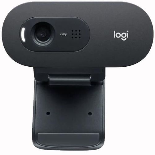 купить Веб-камера Logitech C505 HD в Кишинёве 