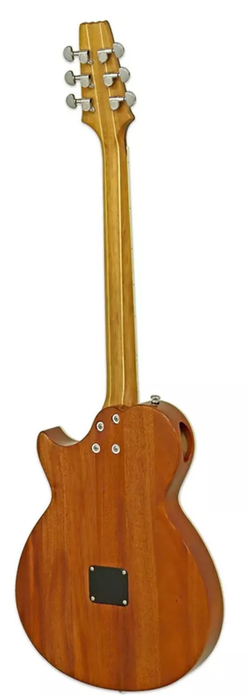 cumpără Chitară Aria Pro II APE-100 TS acoustic în Chișinău 