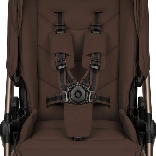 купить Детская коляска Lionelo Carucior 2in1 Carmine Brown Chocolate в Кишинёве 