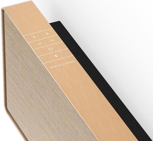 купить Саундбар Bang & Olufsen Beosound Stage Gold Tone в Кишинёве 