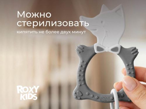 cumpără Iinel dentiție Roxy Kids RBT20032 FOX, серый în Chișinău 